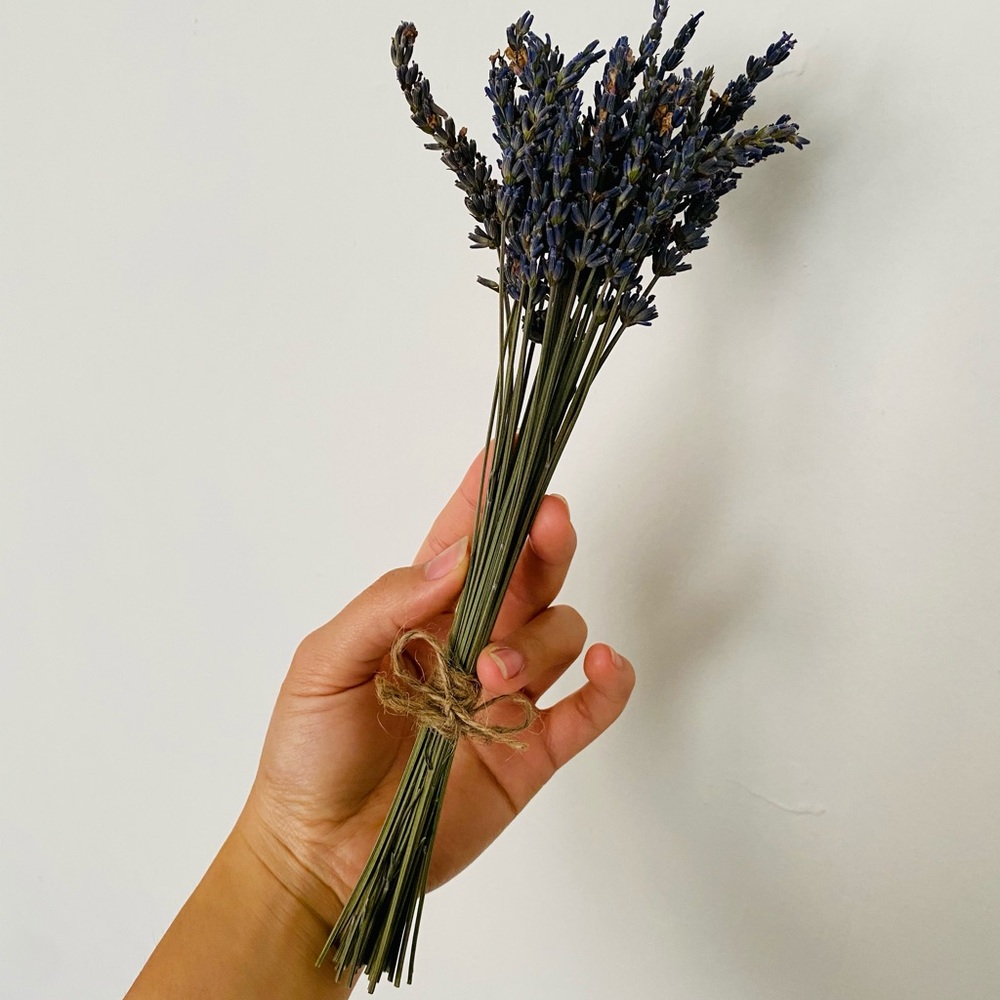 Small Dried Lavender Bundles